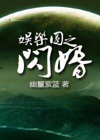 娱乐圈闪婚txt,揭秘明星婚姻背后的真相