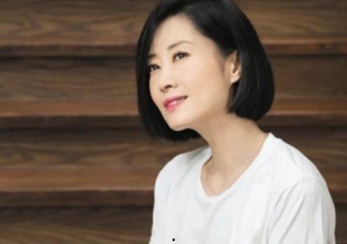 明星娱乐经纪,打造璀璨星途的秘密武器