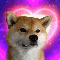 林允儿gif表情包