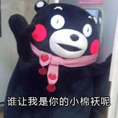 夏天爸爸去哪表情包,揭秘夏天爸爸去哪表情包背后的故事