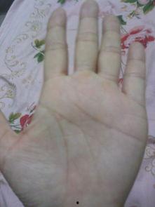 手图片意思,探索手部图片背后的故事